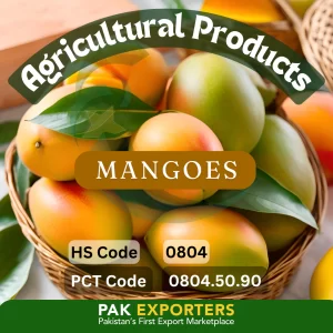 sweet_pakistani_mangoes