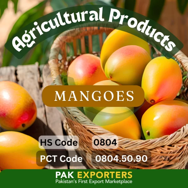 sweet_pakistani_mangoes