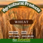 wheat_pakistan