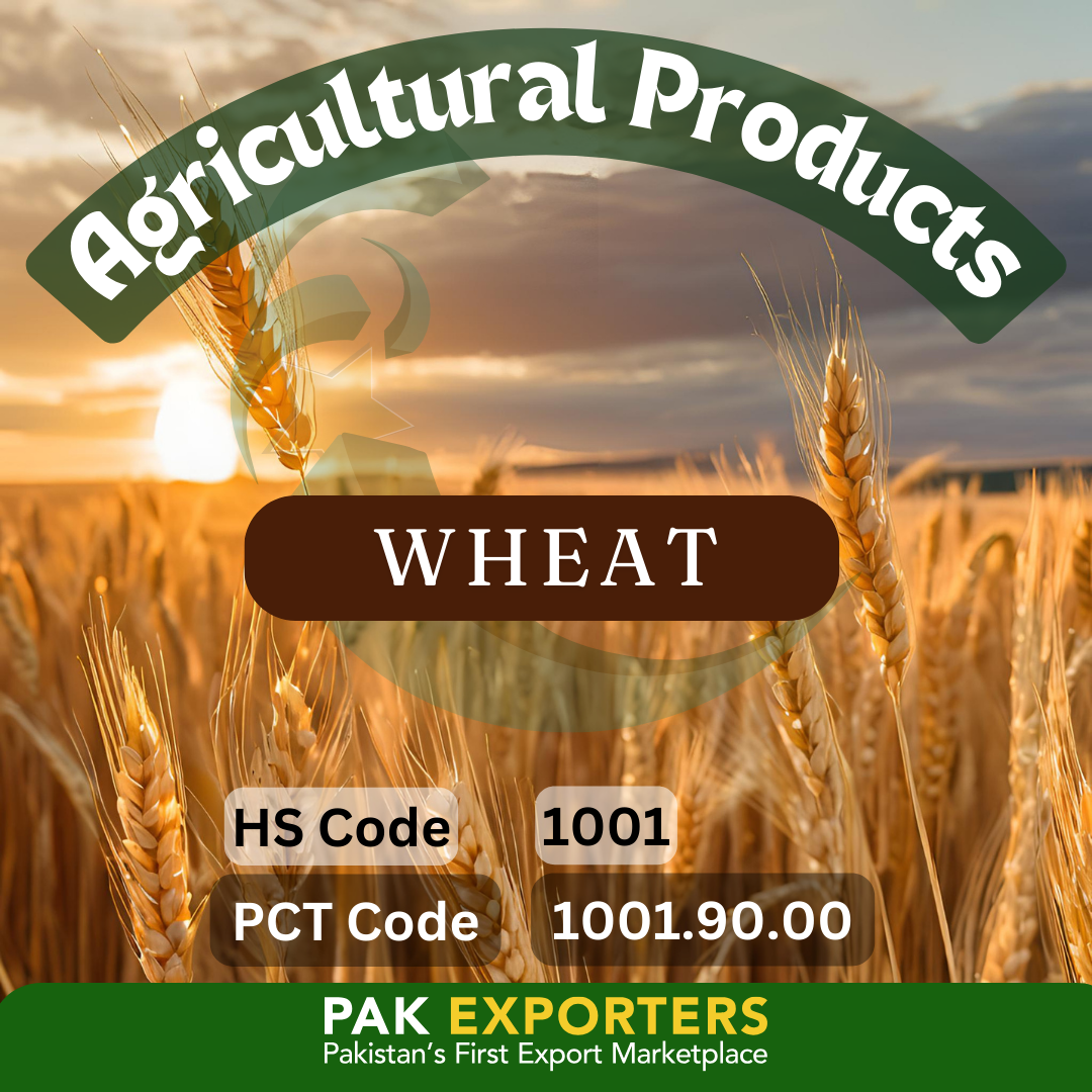 wheat_pakistan