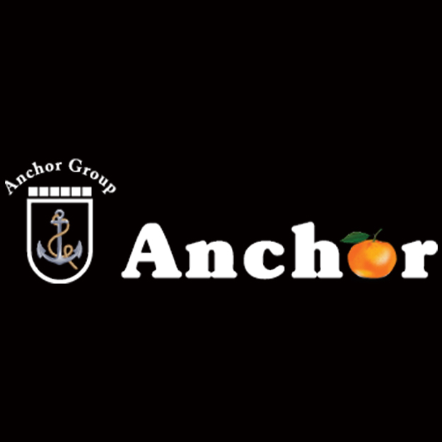 Anchor group logo